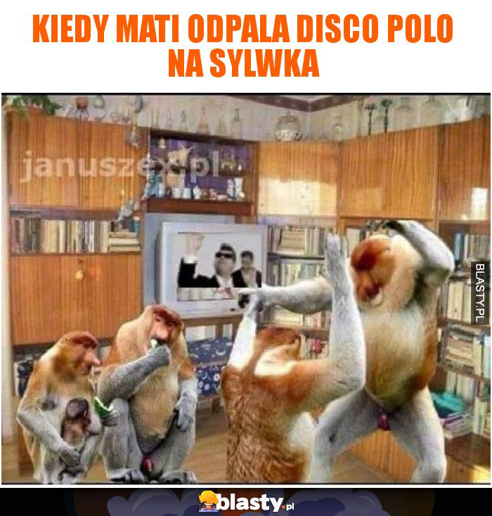 kiedy Mati odpala disco polo na sylwka