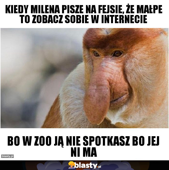 Kiedy Milena pisze na fejsie, że MAŁPE to zobacz sobie w internecie