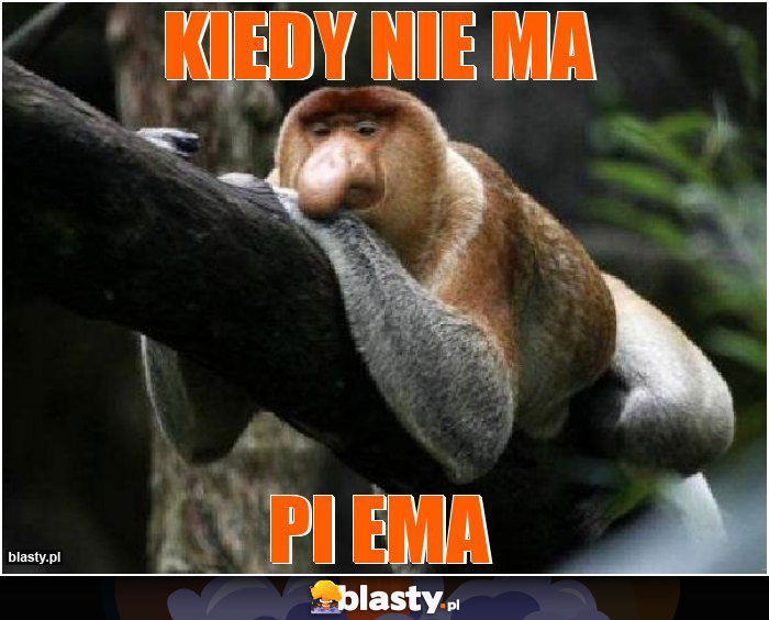 kiedy nie ma