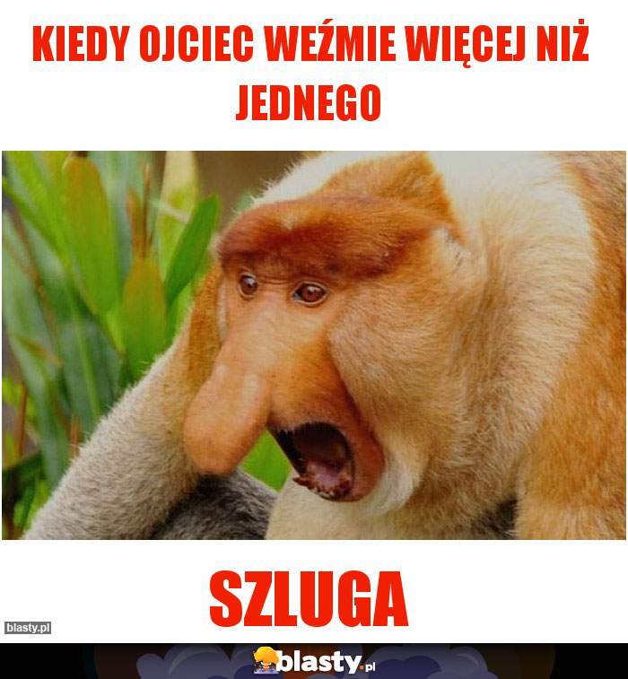 Kiedy ojciec weźmie więcej niż jednego