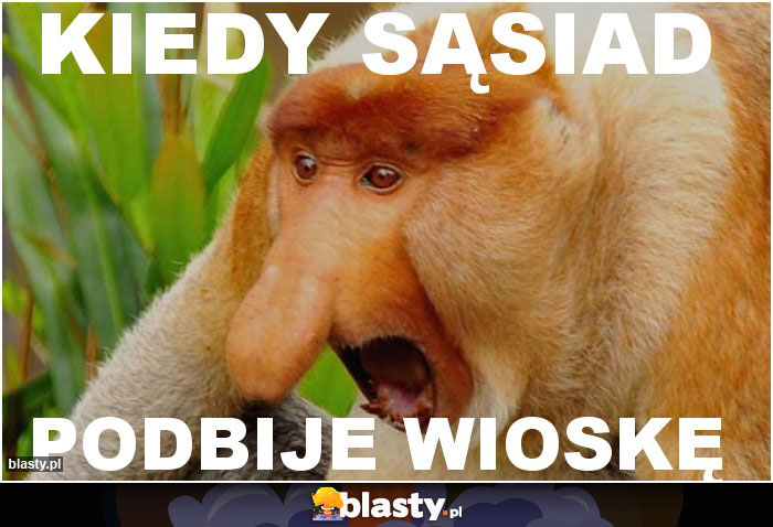 KIEDY SĄSIAD