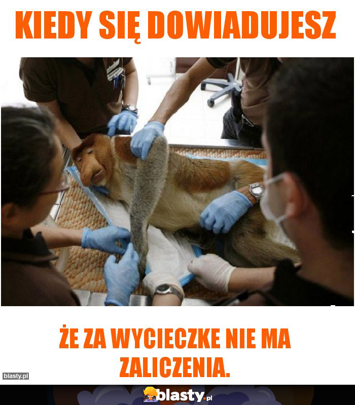 Kiedy się dowiadujesz