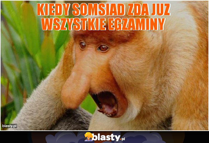 Kiedy somsiad zda juz wszystkie egzaminy