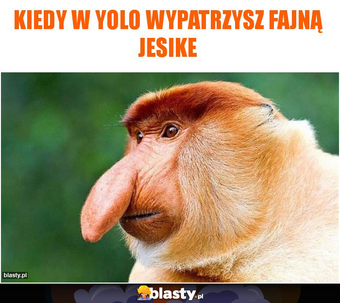 kiedy w yolo wypatrzysz fajną Jesike