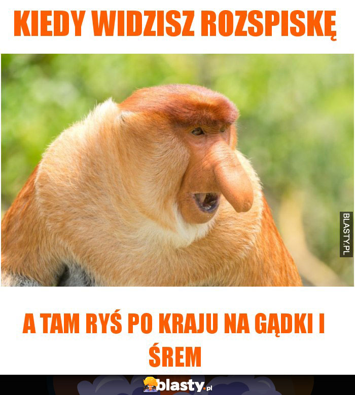 kiedy widzisz rozspiskę