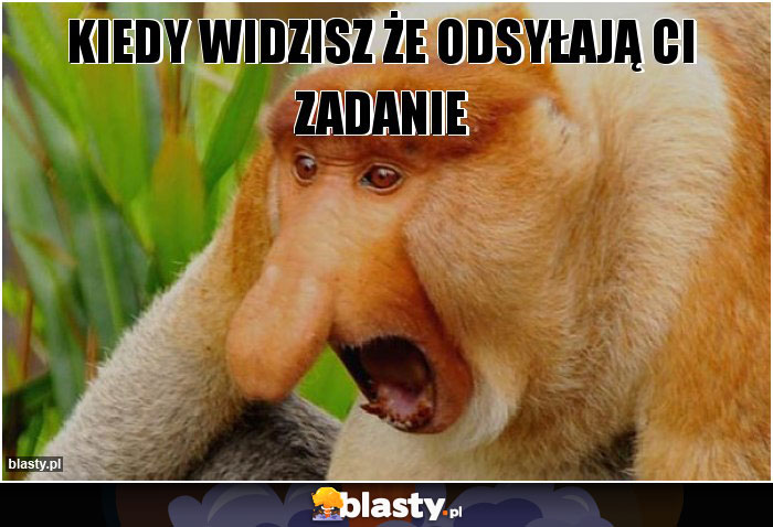 Kiedy widzisz że odsyłają Ci zadanie