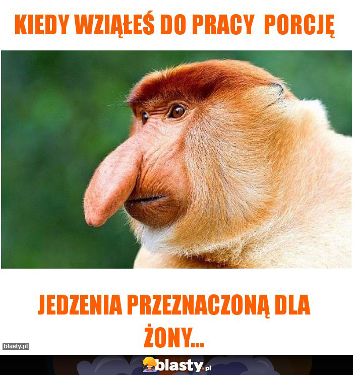 Kiedy wziąłeś do pracy  porcję