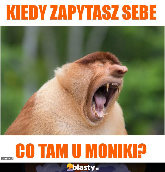 Kiedy zapytasz Sebe