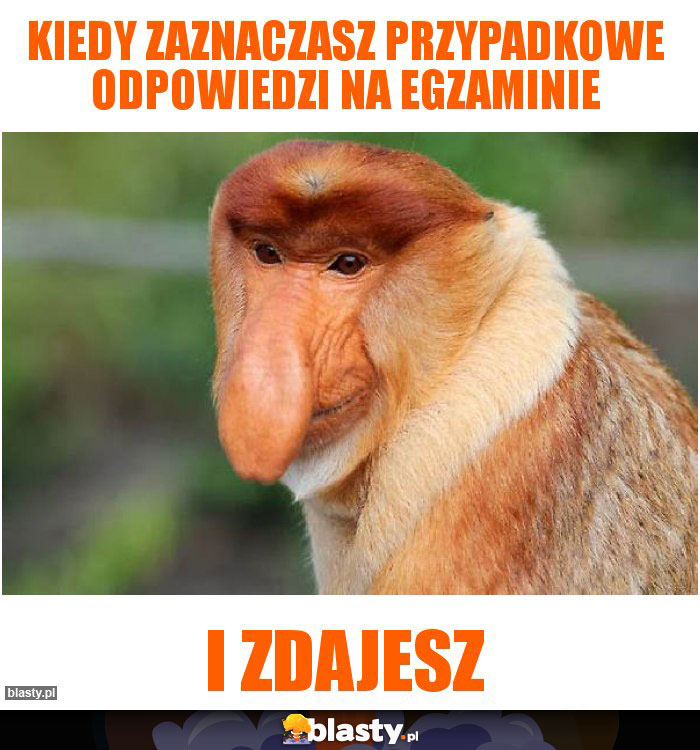 Kiedy zaznaczasz przypadkowe odpowiedzi na egzaminie