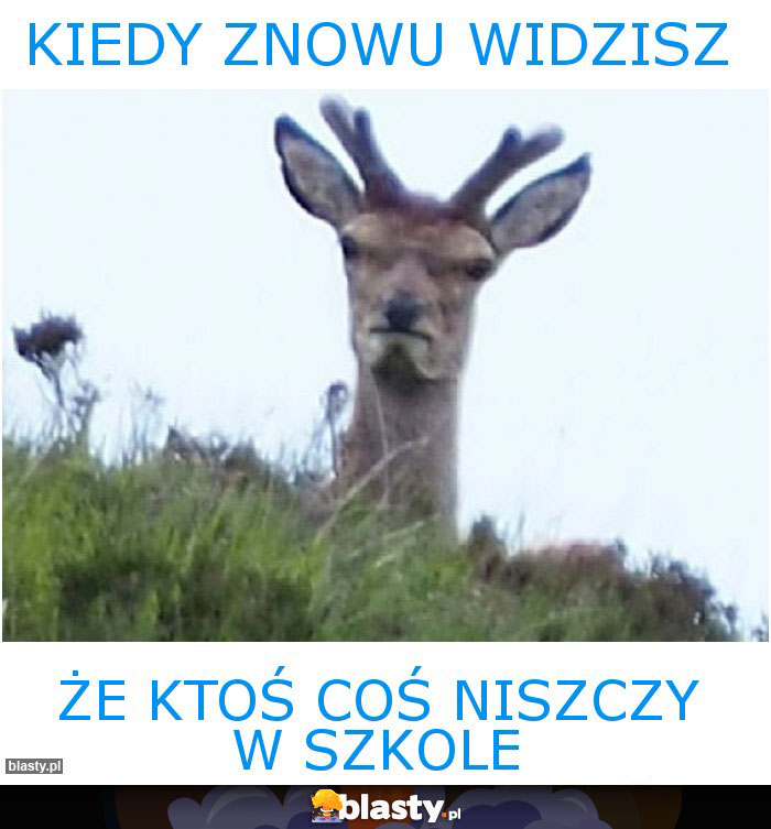 kiedy znowu widzisz