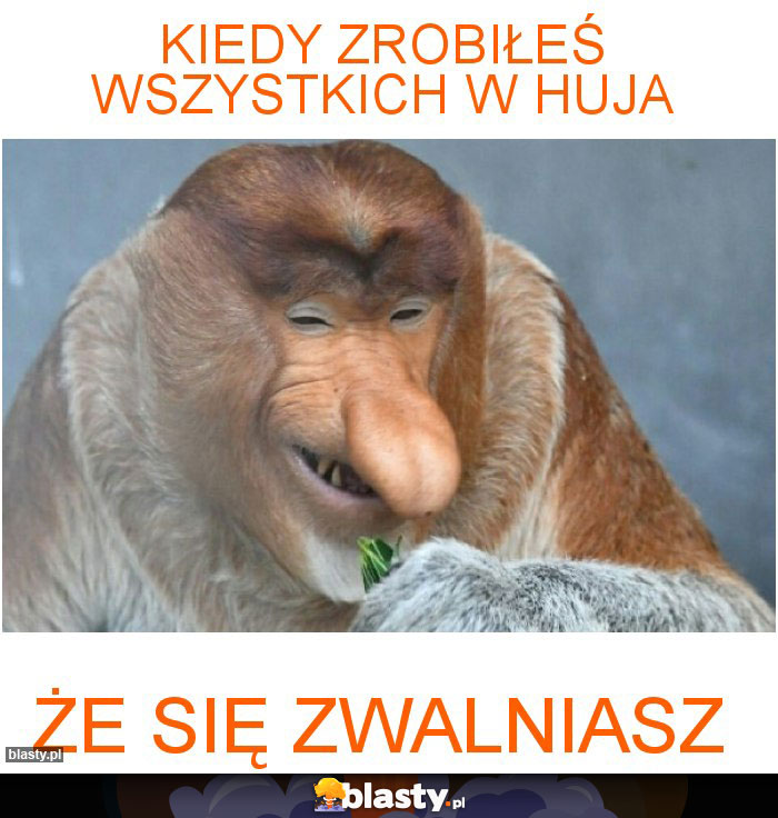 kiedy zrobiłeś wszystkich w huja