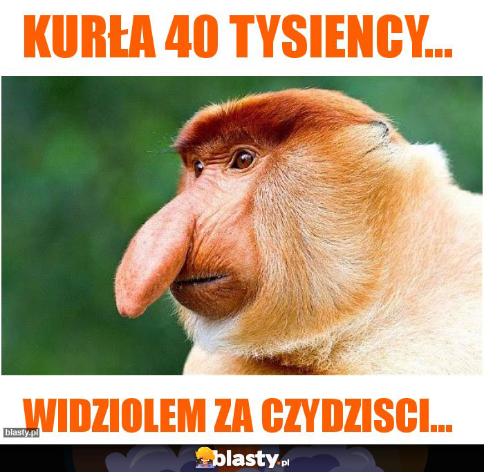 Kurła 40 tysiency...