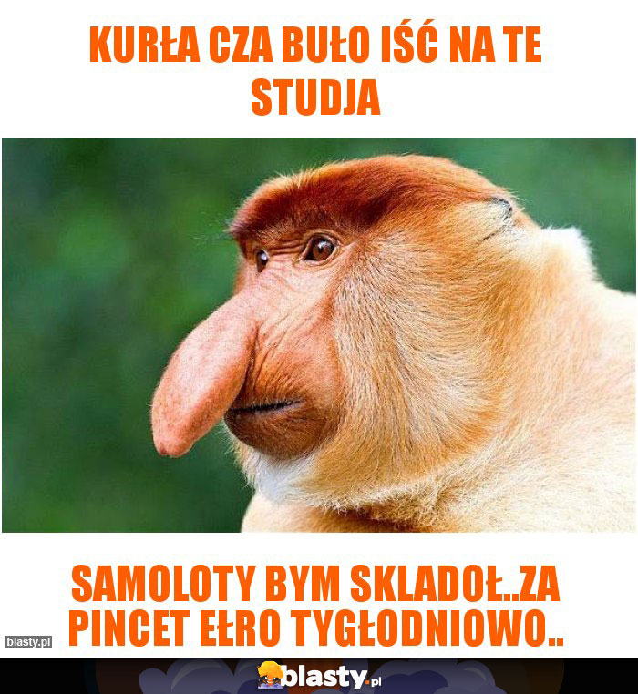 Kurła cza buło iść na te studja