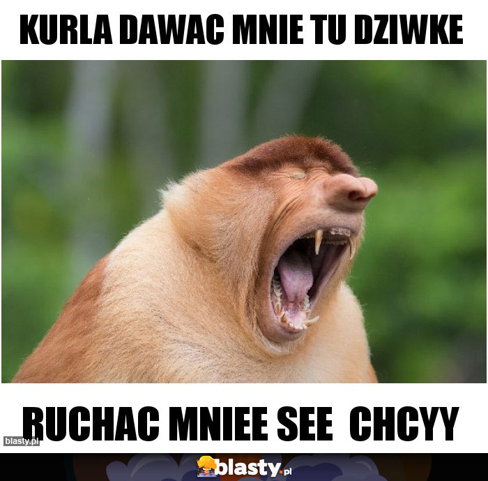 Kurla dawac mnie tu dziwke