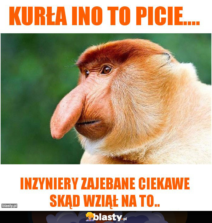 Kurła ino to picie....