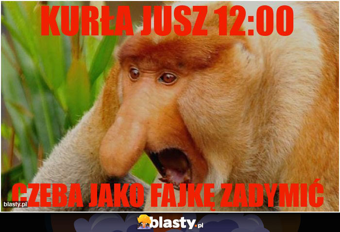 Kurła jusz 12:00