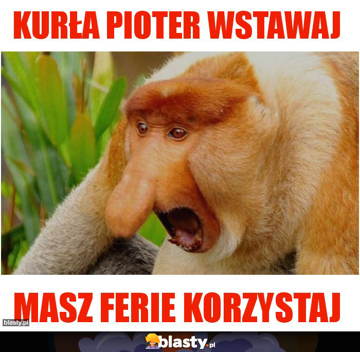 Kurła pioter wstawaj