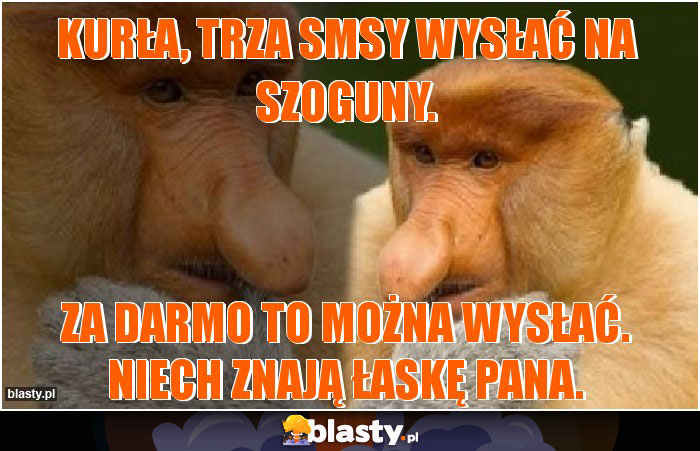 Kurła, trza SMSy wysłać na Szoguny.