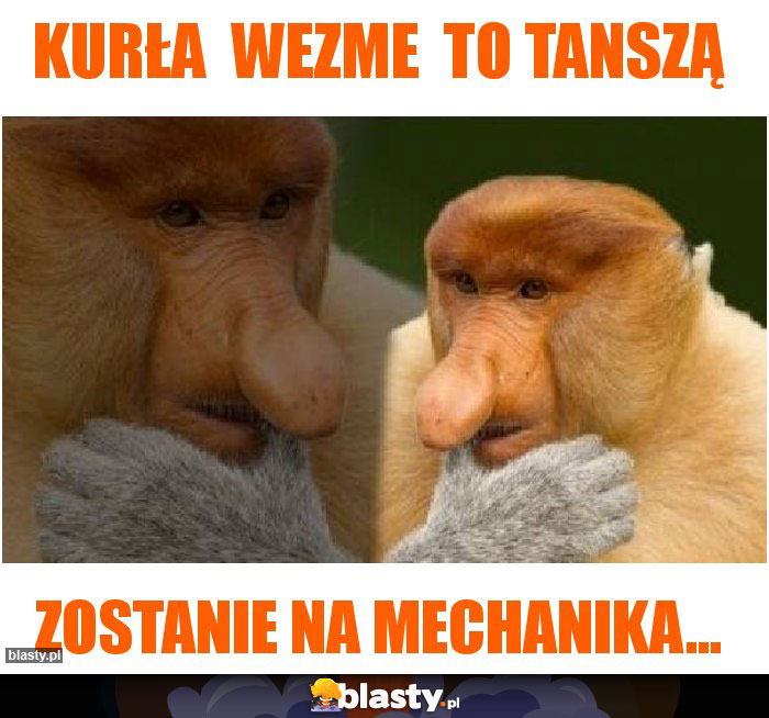 Kurła  wezme  to tanszą