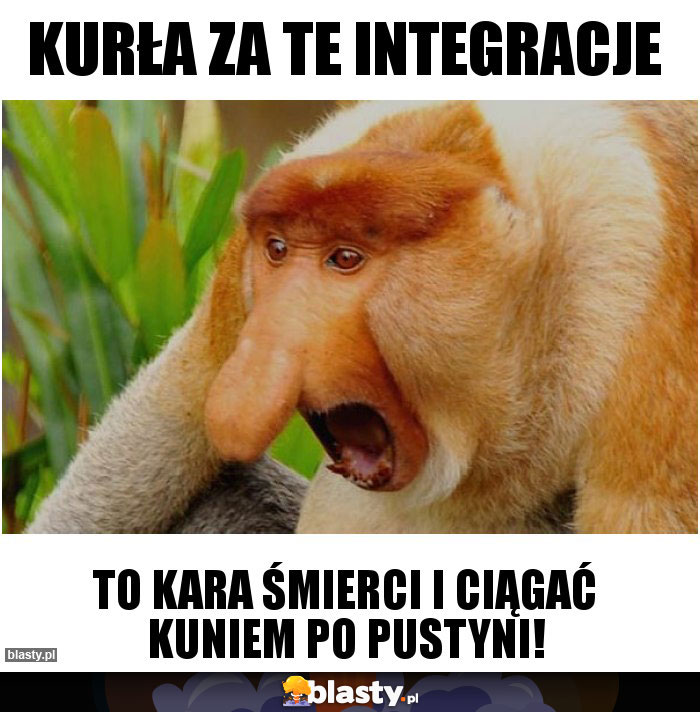 KURŁA ZA TE INTEGRACJE