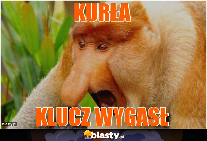 Kurła