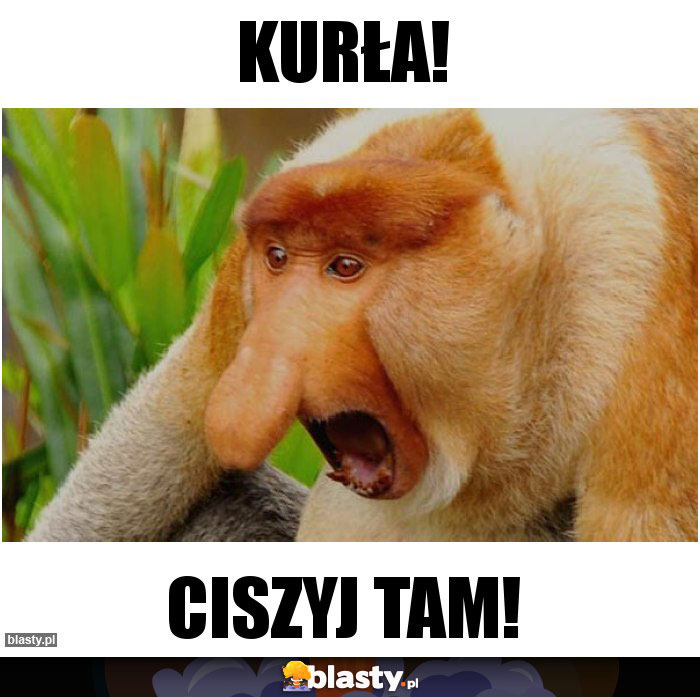 KURŁA!