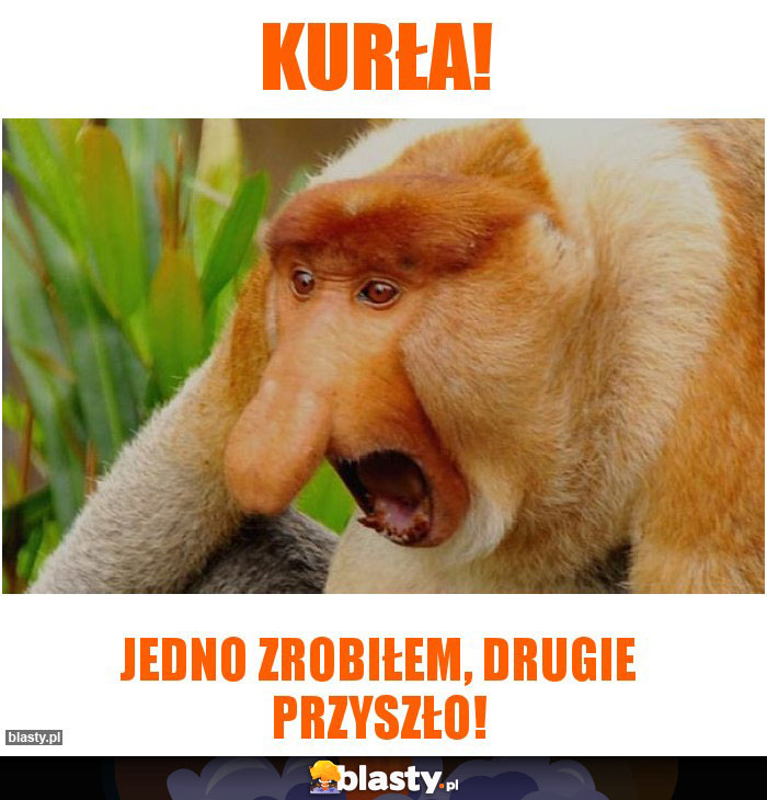 Kurła!