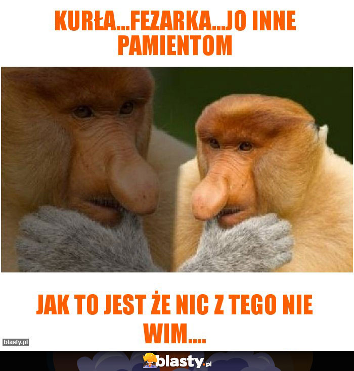 Kurła...fezarka...jo inne pamientom