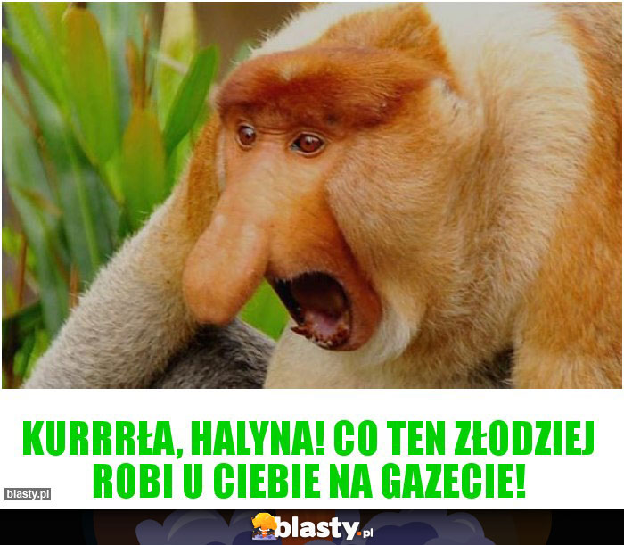 Kurrrła, Halyna! Co ten złodziej robi u Ciebie na gazecie!