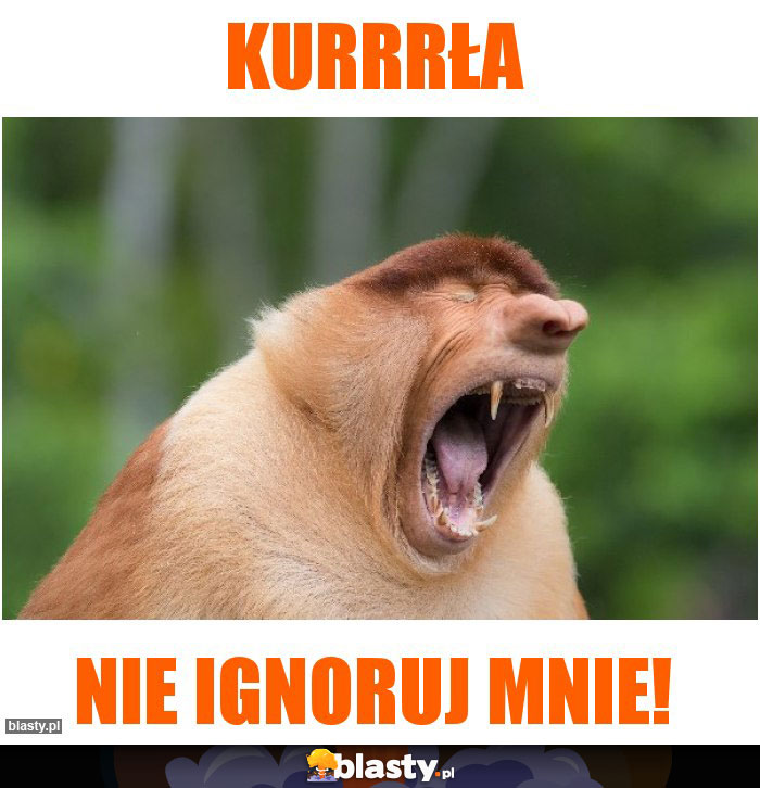 KUrrrła