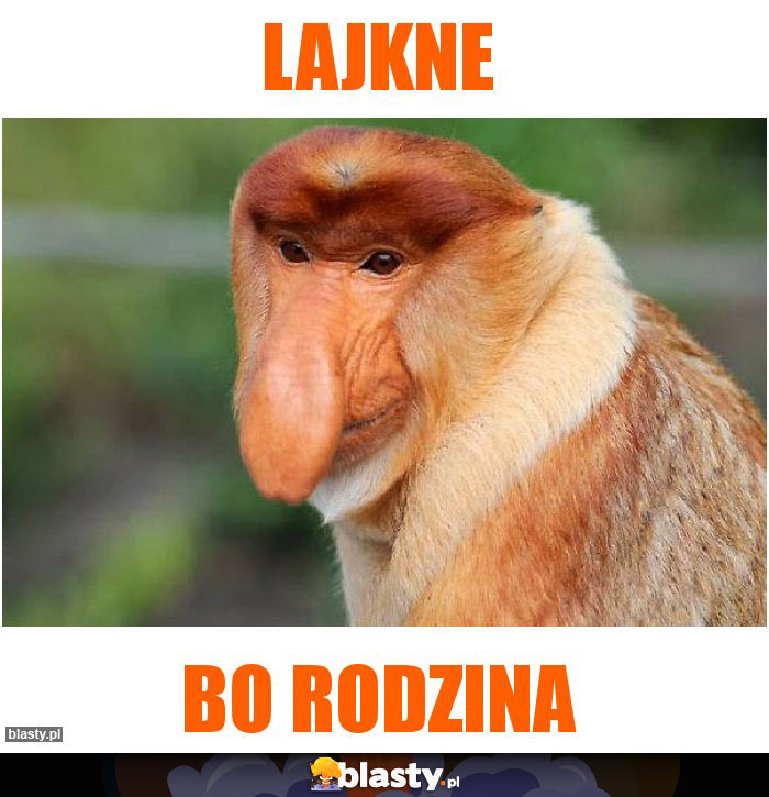 Lajkne