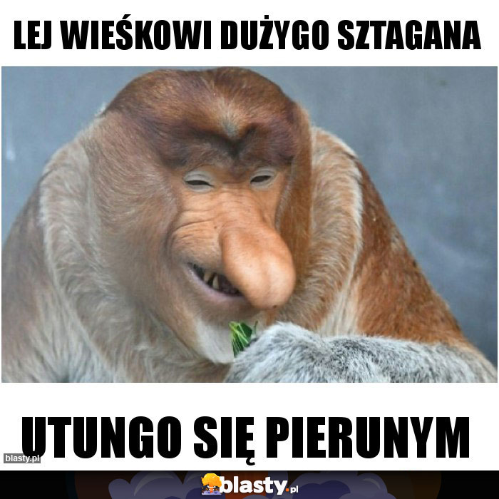 LEJ WIEŚKOWI DUŻYGO SZTAGANA