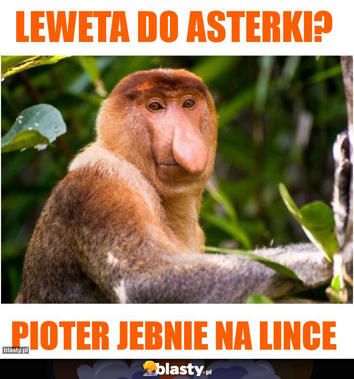 Leweta do Asterki?