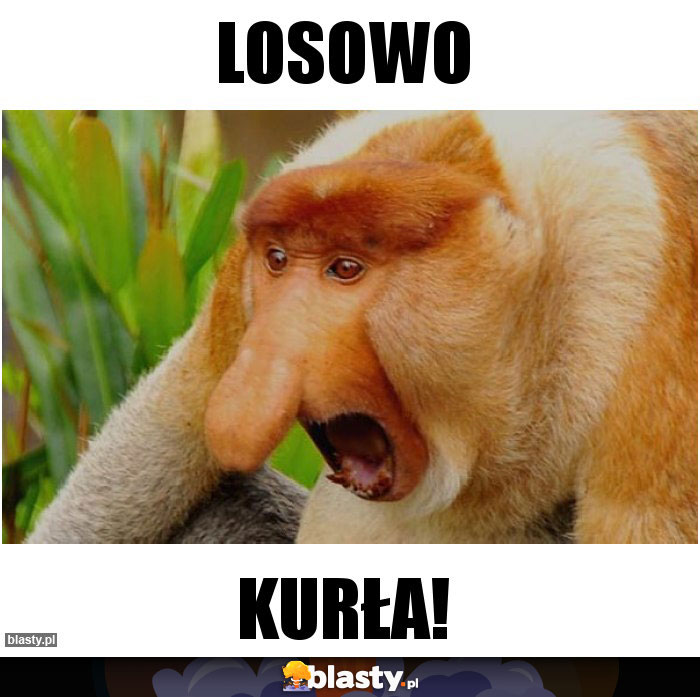 Losowo