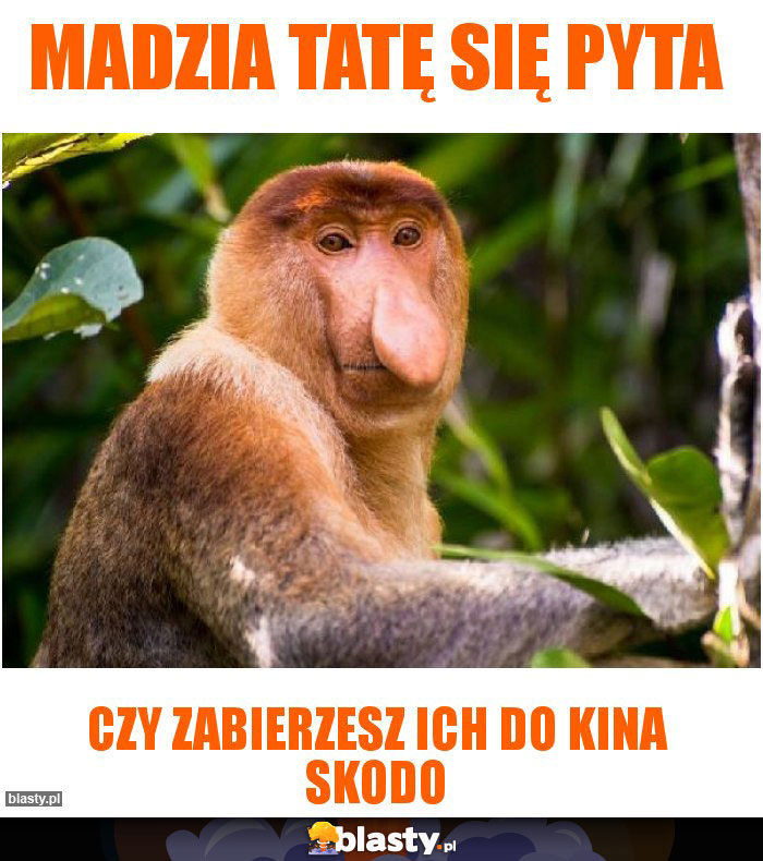 Madzia tatę się pyta