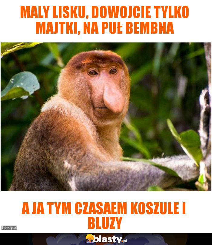 Maly Lisku, dowojcie tylko majtki, na puł bembna