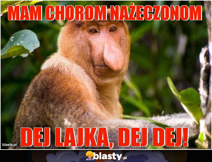 Mam chorom nażeczonom