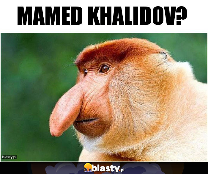 Mamed Khalidov?