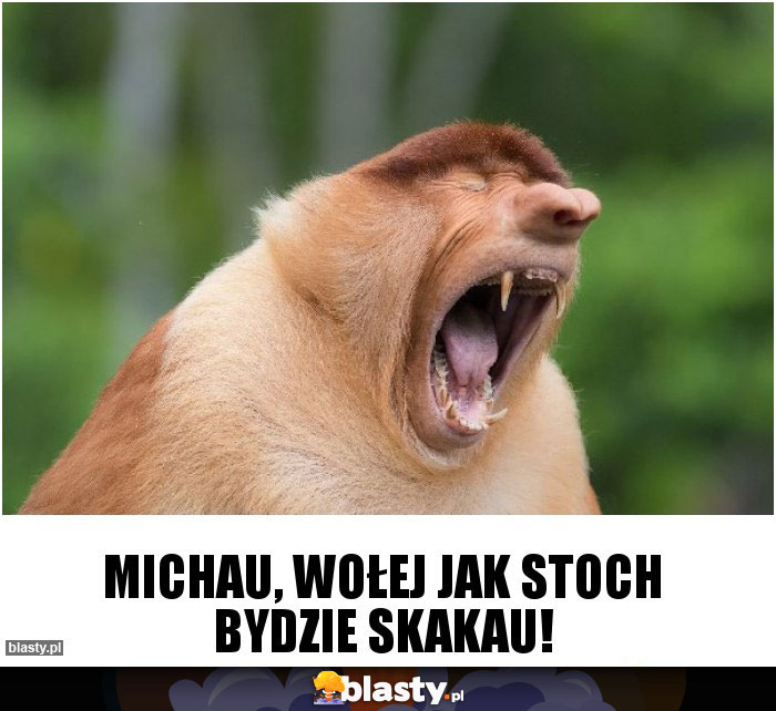 Michau, Wołej jak Stoch bydzie skakau!