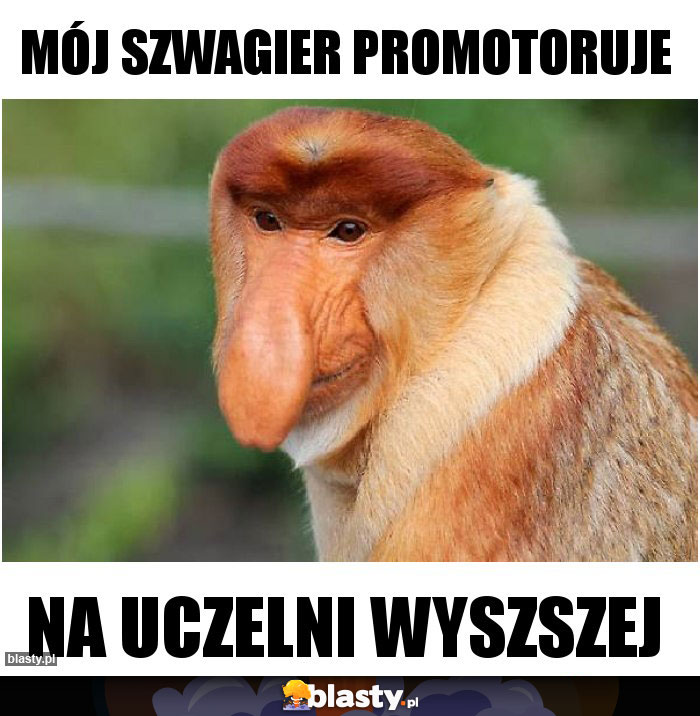 Mój szwagier promotoruje