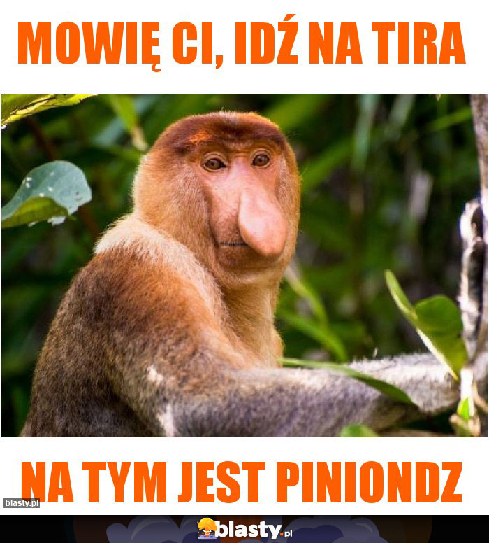 Mowię Ci, idź na tira