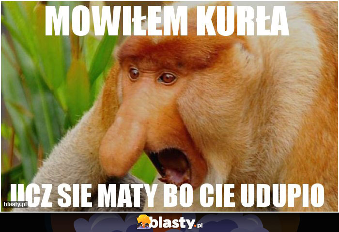 Mowiłem kurła