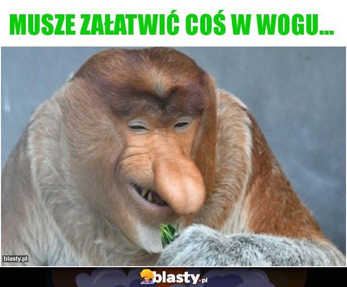 musze załatwić coś w wogu...