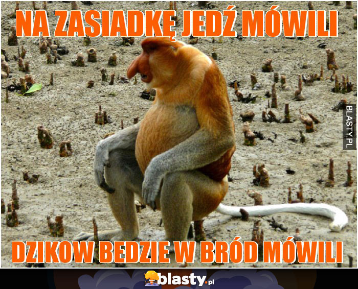 Na zasiadkę jedź mówili