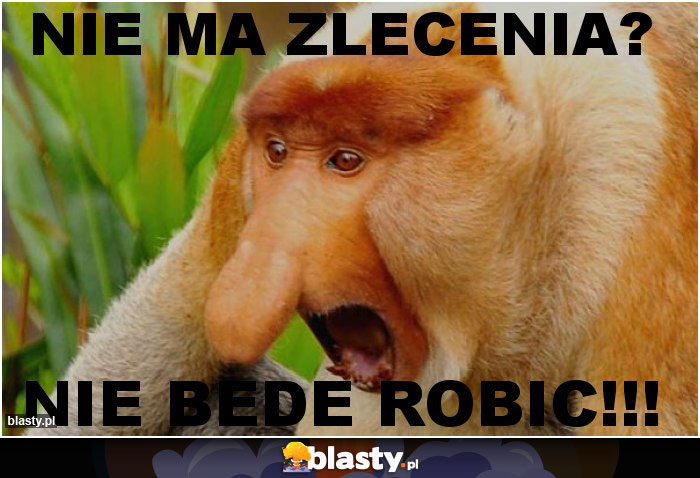 NIE MA ZLECENIA?