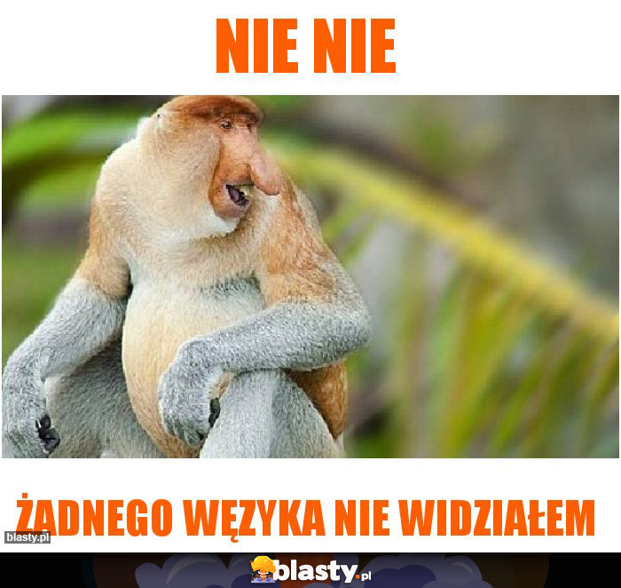 Nie nie