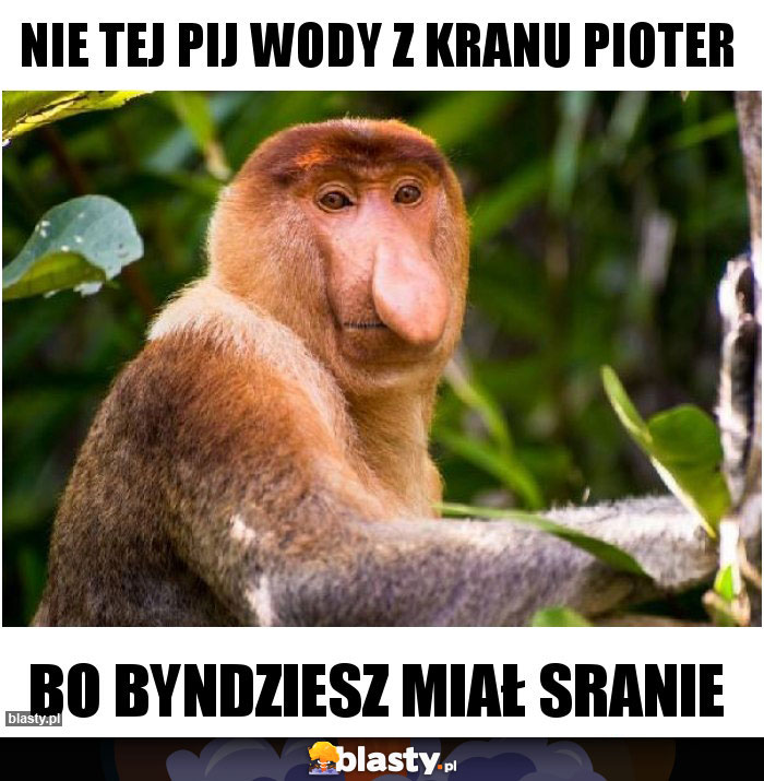 Nie tej pij wody z kranu pioter