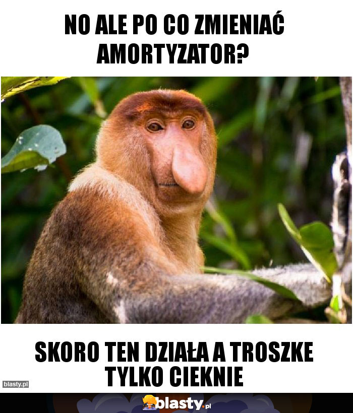 no ale po co zmieniać amortyzator?