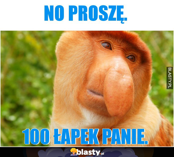 No proszę.