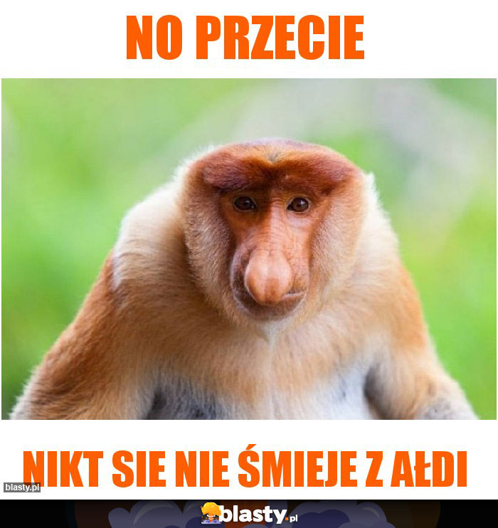 No przecie